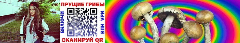 Галлюциногенные грибы Magic Shrooms Харовск