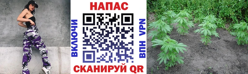 где купить наркоту  Харовск  МАРИХУАНА SATIVA & INDICA 